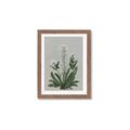 Picture of White flower II  _GroupedProduct_Rectangle_Portrait_Framed_Matted_