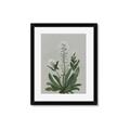 Picture of White flower II  _GroupedProduct_Rectangle_Portrait_Framed_Matted_