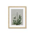 Picture of White flower II  _GroupedProduct_Rectangle_Portrait_Framed_Matted_