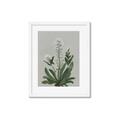 Picture of White flower II  _GroupedProduct_Rectangle_Portrait_Framed_Matted_