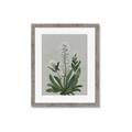 Picture of White flower II  _GroupedProduct_Rectangle_Portrait_Framed_Matted_