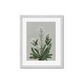 Picture of White flower II  _GroupedProduct_Rectangle_Portrait_Framed_Matted_