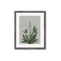 Picture of White flower II  _GroupedProduct_Rectangle_Portrait_Framed_Matted_