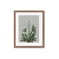 Picture of White flower II  _GroupedProduct_Rectangle_Portrait_Framed_Matted_