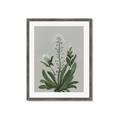 Picture of White flower II  _GroupedProduct_Rectangle_Portrait_Framed_Matted_