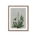 Picture of White flower II  _GroupedProduct_Rectangle_Portrait_Framed_Matted_