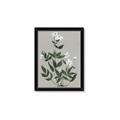 Picture of White flower III _GroupedProduct_Rectangle_Portrait_Framed_Matted_