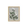 Picture of White flower III _GroupedProduct_Rectangle_Portrait_Framed_Matted_