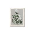 Picture of White flower III _GroupedProduct_Rectangle_Portrait_Framed_Matted_