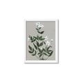 Picture of White flower III _GroupedProduct_Rectangle_Portrait_Framed_Matted_
