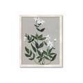 Picture of White flower III _GroupedProduct_Rectangle_Portrait_Framed_Matted_