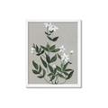 Picture of White flower III _GroupedProduct_Rectangle_Portrait_Framed_Matted_