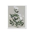 Picture of White flower III _GroupedProduct_Rectangle_Portrait_Framed_Matted_