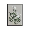 Picture of White flower III _GroupedProduct_Rectangle_Portrait_Framed_Matted_