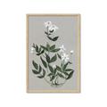 Picture of White flower III _GroupedProduct_Rectangle_Portrait_Framed_Matted_