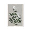 Picture of White flower III _GroupedProduct_Rectangle_Portrait_Framed_Matted_