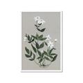 Picture of White flower III _GroupedProduct_Rectangle_Portrait_Framed_Matted_