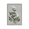 Picture of White flower III _GroupedProduct_Rectangle_Portrait_Framed_Matted_