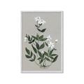Picture of White flower III _GroupedProduct_Rectangle_Portrait_Framed_Matted_