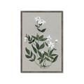 Picture of White flower III _GroupedProduct_Rectangle_Portrait_Framed_Matted_