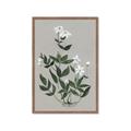 Picture of White flower III _GroupedProduct_Rectangle_Portrait_Framed_Matted_