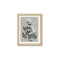 Picture of White flower III _GroupedProduct_Rectangle_Portrait_Framed_Matted_
