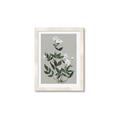 Picture of White flower III _GroupedProduct_Rectangle_Portrait_Framed_Matted_