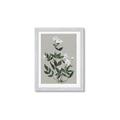 Picture of White flower III _GroupedProduct_Rectangle_Portrait_Framed_Matted_