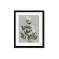 Picture of White flower III _GroupedProduct_Rectangle_Portrait_Framed_Matted_