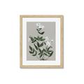 Picture of White flower III _GroupedProduct_Rectangle_Portrait_Framed_Matted_