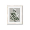 Picture of White flower III _GroupedProduct_Rectangle_Portrait_Framed_Matted_