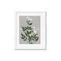 Picture of White flower III _GroupedProduct_Rectangle_Portrait_Framed_Matted_