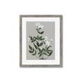 Picture of White flower III _GroupedProduct_Rectangle_Portrait_Framed_Matted_
