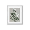 Picture of White flower III _GroupedProduct_Rectangle_Portrait_Framed_Matted_