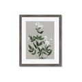 Picture of White flower III _GroupedProduct_Rectangle_Portrait_Framed_Matted_