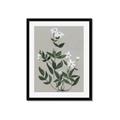 Picture of White flower III _GroupedProduct_Rectangle_Portrait_Framed_Matted_