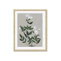 Picture of White flower III _GroupedProduct_Rectangle_Portrait_Framed_Matted_