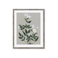 Picture of White flower III _GroupedProduct_Rectangle_Portrait_Framed_Matted_