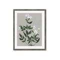 Picture of White flower III _GroupedProduct_Rectangle_Portrait_Framed_Matted_