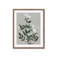 Picture of White flower III _GroupedProduct_Rectangle_Portrait_Framed_Matted_