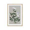 Picture of White flower III _GroupedProduct_Rectangle_Portrait_Framed_Matted_