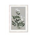 Picture of White flower III _GroupedProduct_Rectangle_Portrait_Framed_Matted_