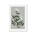 Picture of White flower III _GroupedProduct_Rectangle_Portrait_Framed_Matted_