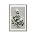 Picture of White flower III _GroupedProduct_Rectangle_Portrait_Framed_Matted_