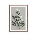 Picture of White flower III _GroupedProduct_Rectangle_Portrait_Framed_Matted_