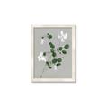 Picture of White flower IV _GroupedProduct_Rectangle_Portrait_Framed_Matted_