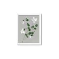 Picture of White flower IV _GroupedProduct_Rectangle_Portrait_Framed_Matted_