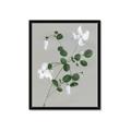 Picture of White flower IV _GroupedProduct_Rectangle_Portrait_Framed_Matted_