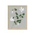 Picture of White flower IV _GroupedProduct_Rectangle_Portrait_Framed_Matted_