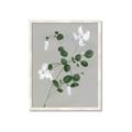 Picture of White flower IV _GroupedProduct_Rectangle_Portrait_Framed_Matted_